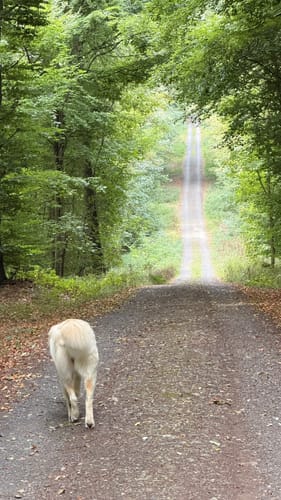 Kleiner Buchfinkenland Rundwanderweg (B2)