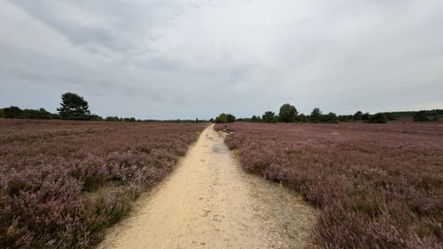 Unterhaverbeck - Wilsede - Wilseder Berg