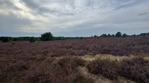 Unterhaverbeck - Wilsede - Wilseder Berg