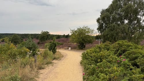 Unterhaverbeck - Wilsede - Wilseder Berg