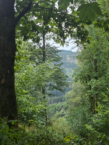 Wasserfall Plästerlegge
