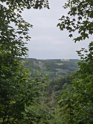 Wasserfall Plästerlegge