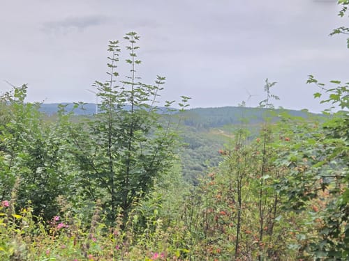 Wasserfall Plästerlegge