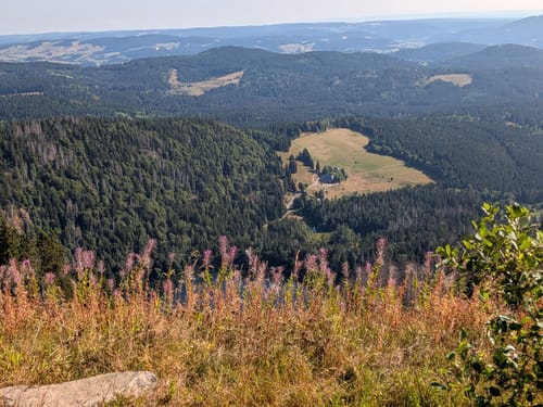 Feldbergsteig (Genießerpfad)