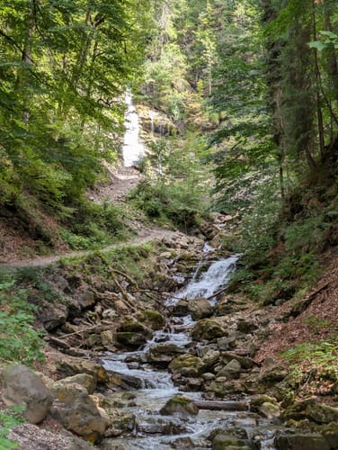 Obersdorf - Seealpe