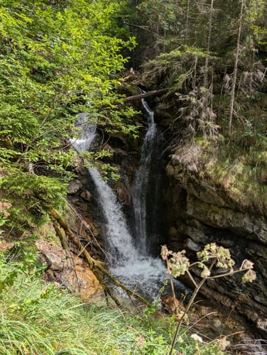 Obersdorf - Seealpe