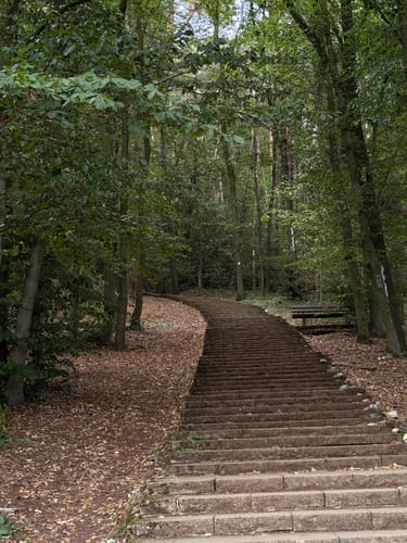 Waldauenweg (Premiumwanderweg)