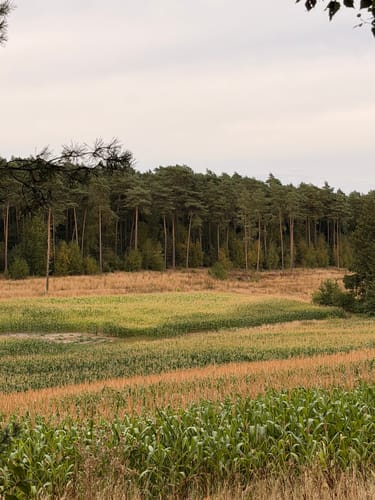 Waldauenweg (Premiumwanderweg)