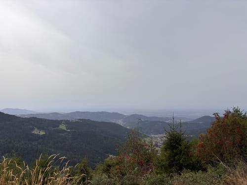 Baiersbronner Himmelsweg: Bannwald Tour