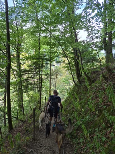 Wutachschlucht