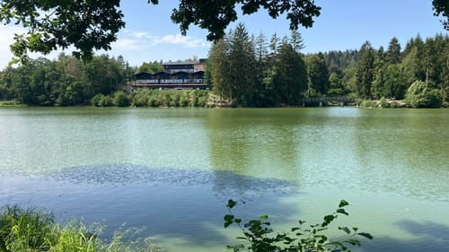 Schwammerlweg