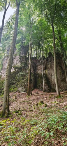 Hirschbach Rundwanderweg Nr. 2