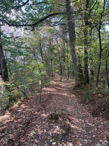 Durch das Naturschutzgebiet am Hornpottweg