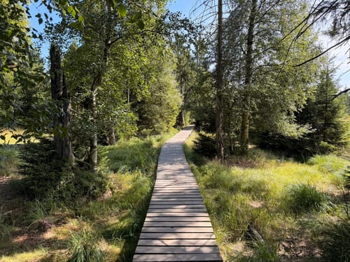 Rundwanderweg Oderteich