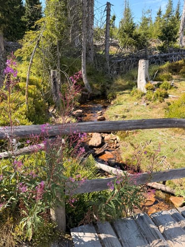 Rundwanderweg Oderteich
