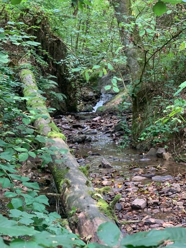 Saarschleifen Tafeltour (Traumschleife)