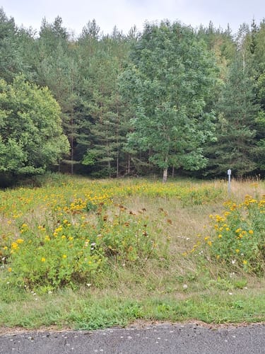 Rundwanderung Leibis-Lichte von Unterweißbach