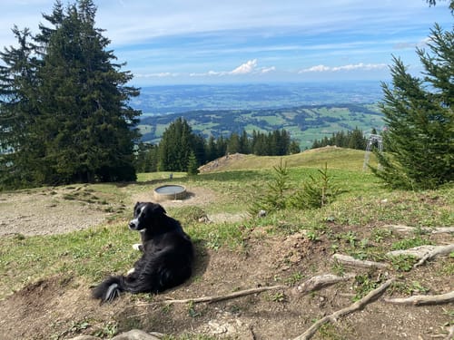 Von der Alpe Kammeregg auf den Grünten
