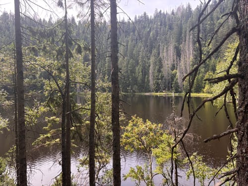 Baiersbronner Himmelsweg: Bannwald Tour