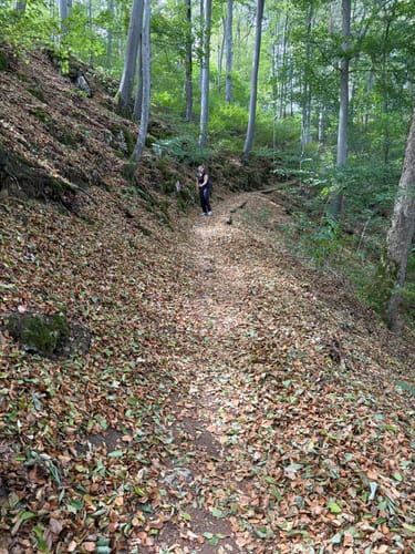 Wasserfallsteig bei Bad Urach