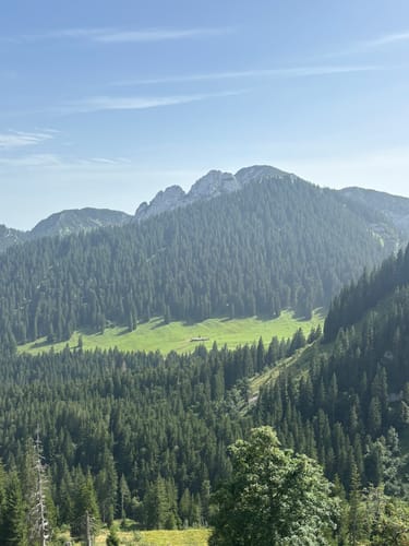 Wallberg und Setzberg ab Wallbergbahn-Talstation