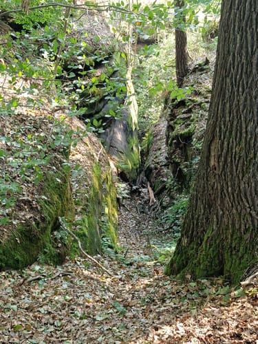 Schrammsteine und Hohe Liebe ab Bad Schandau