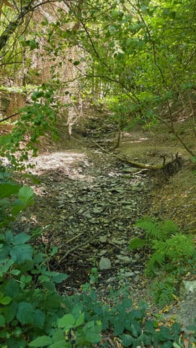 Einruht - Urfttalsperre - Ruhrberg