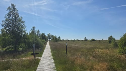 Rund um Brackvenn [CLOSED]