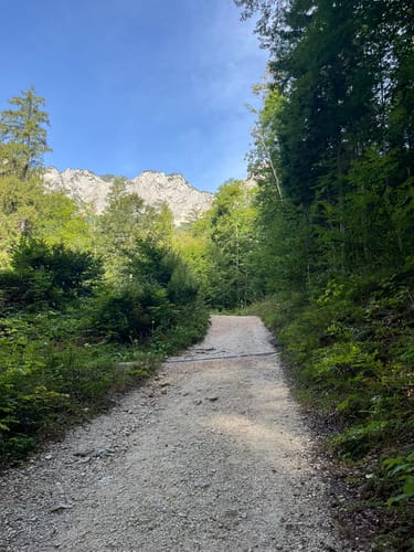 Salzburger Hochthron