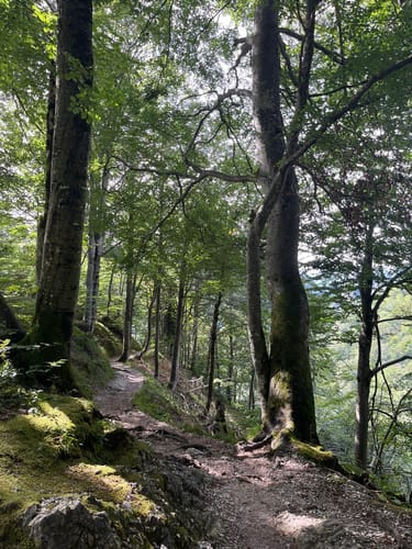 Salzburger Hochthron