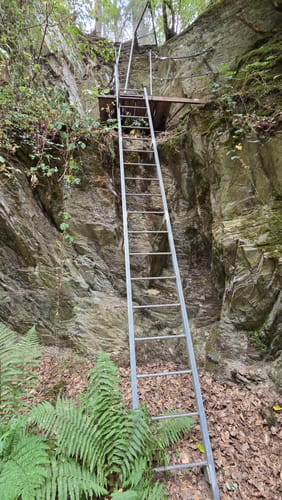 Layensteig Strimmiger Berg (Traumschleife)
