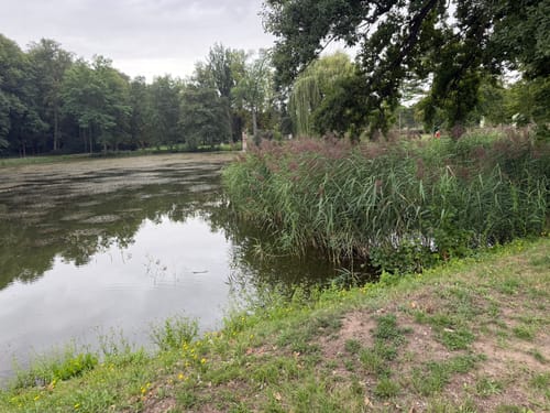 Glauchau Stausee