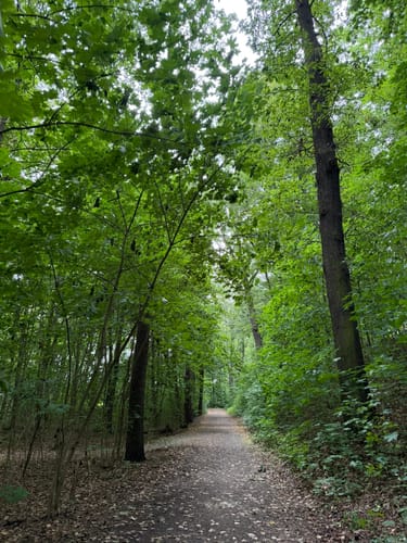 Glauchau Stausee