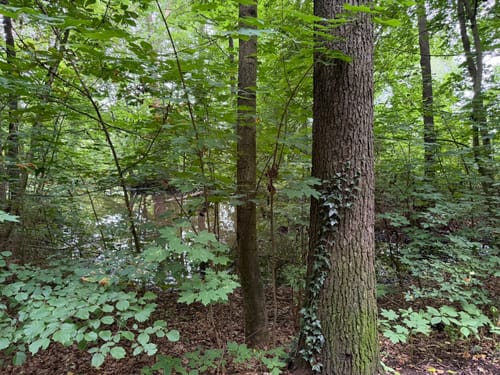 Glauchau Stausee