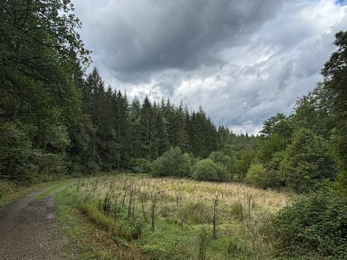 Autour de Spa via Côte d'Annette et Lubin