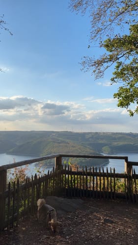 Wilder Kermeter und Hirschley