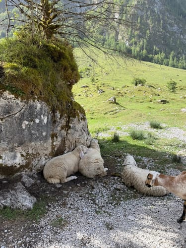 Wanderung zur Fischunkelalm am Obersee