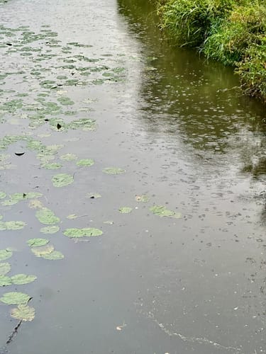 Badesee Tannenhausen ab Aurich