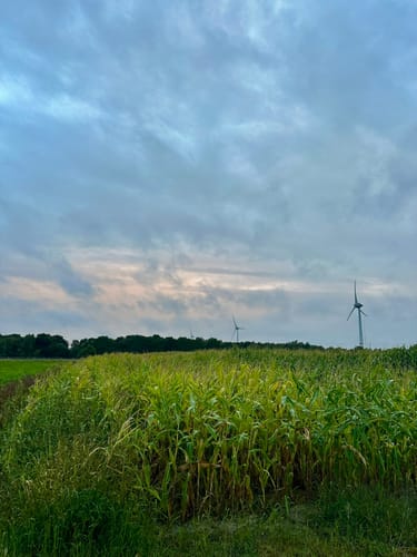 Badesee Tannenhausen ab Aurich