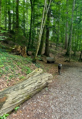 Zum Kloster Andechs am Ammersee