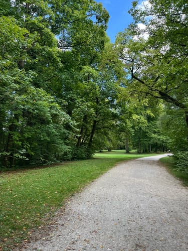 Altstadt und Englischer Garten