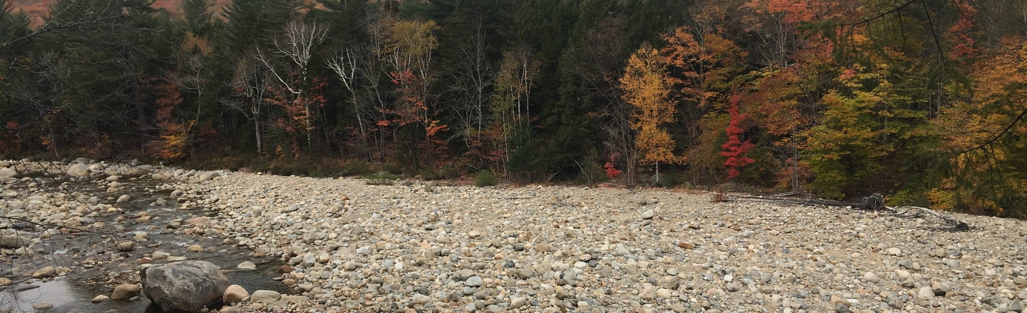 East Branch Road, Pemi East Side and Wilderness Trail, New Hampshire