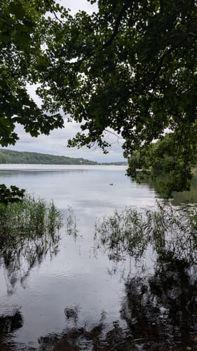 Rund um den Küchensee
