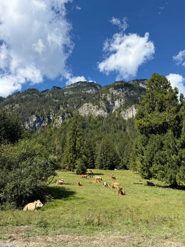 Kramerplateauweg - Almhütte