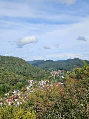 Wilgartswieser Biosphären-Pfad (Premiumwanderweg)