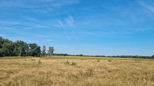 Mosigkauer Heide Runde
