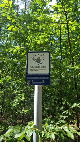 Mosigkauer Heide Runde