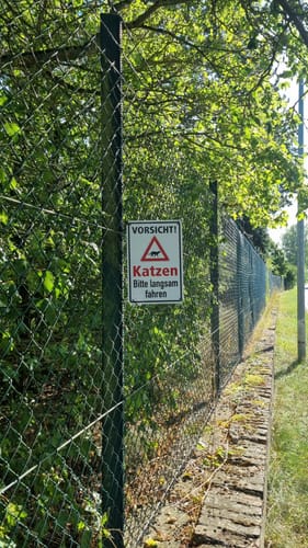 Mosigkauer Heide Runde