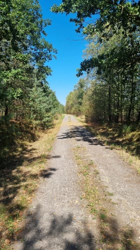 Mosigkauer Heide Runde