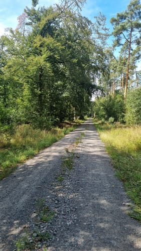Mosigkauer Heide Runde